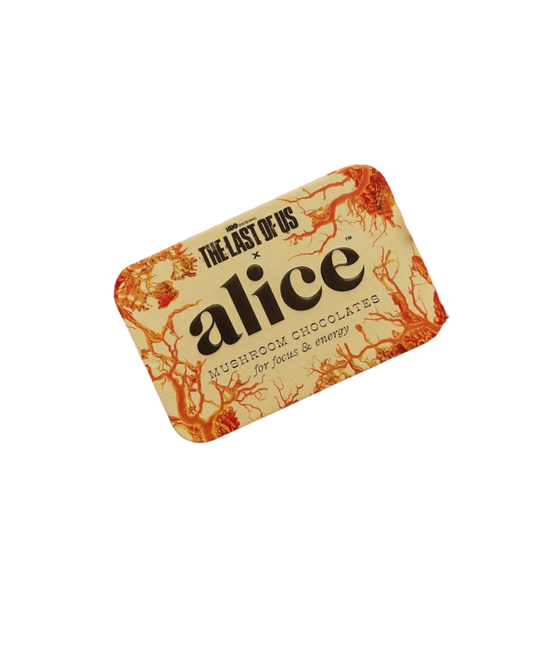 Mushroom chocolate bar labeled 'alice' from 'The Last of Us' series on a bed of dried mushrooms.